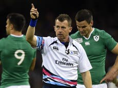 The Rugby World Cup final referee has been revealed