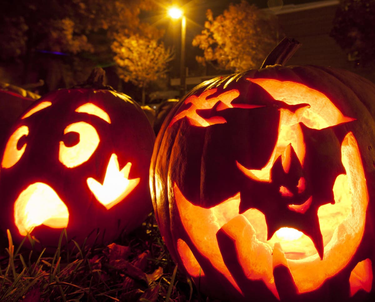 Voices: Why I won&rsquo;t be leaving the house this Halloween