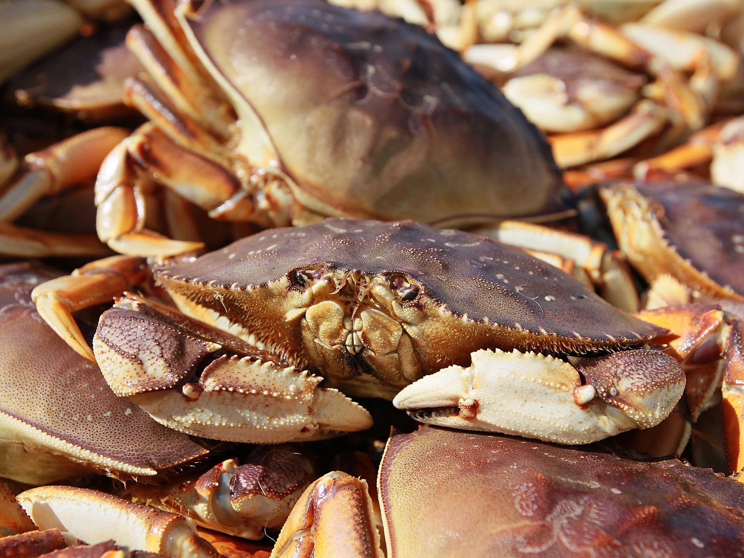 Supermarket criticised for selling live crabs wrapped in clingfilm