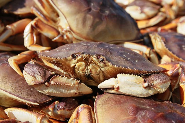 The crabs could reportedly be seen moving inside the packaging