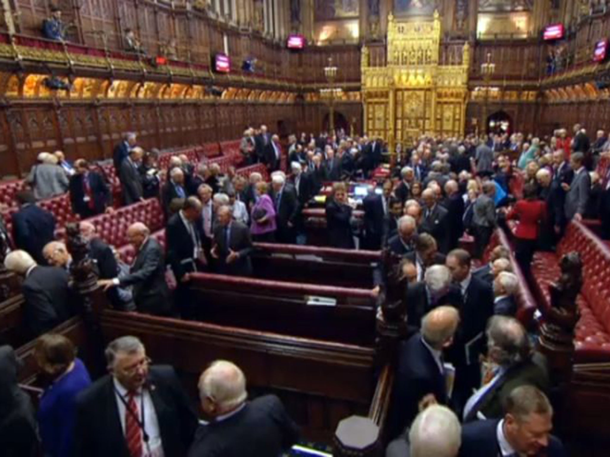 Peers vote in the House of Lords (File photo)