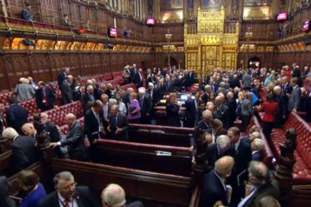 Peers vote in the House of Lords (File photo)