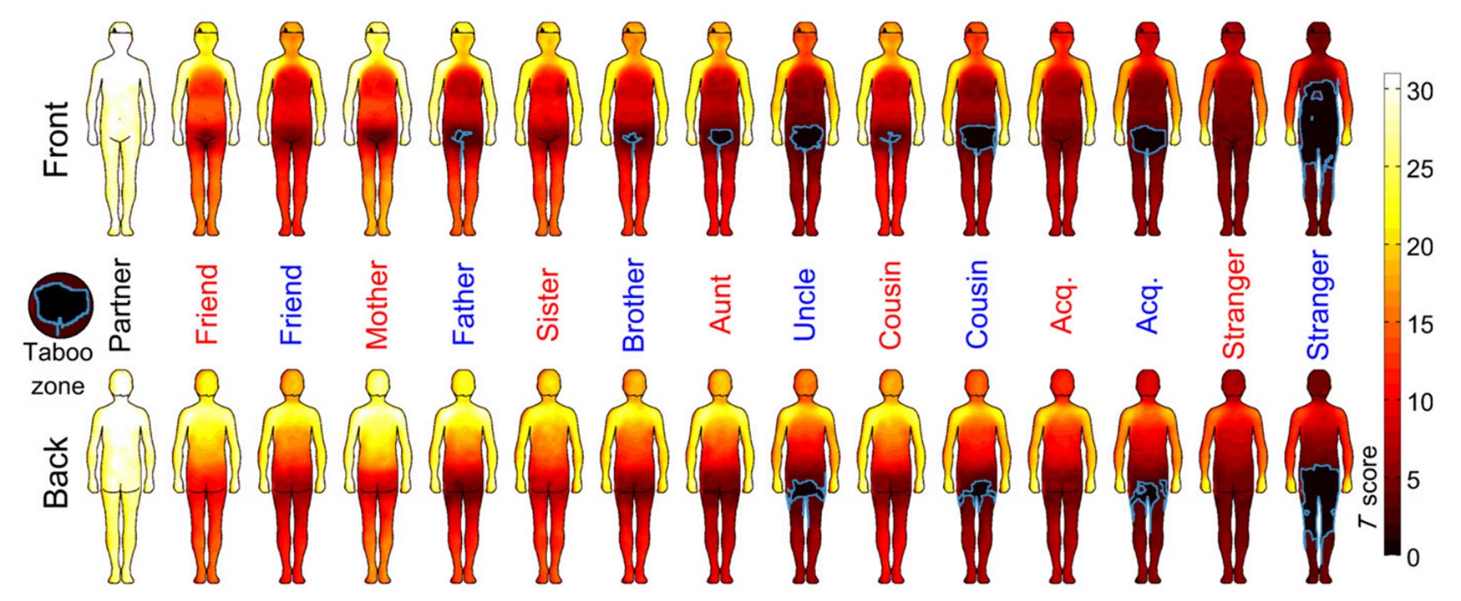 Body map shows where men and women are comfortable being touched The Independent The Independent