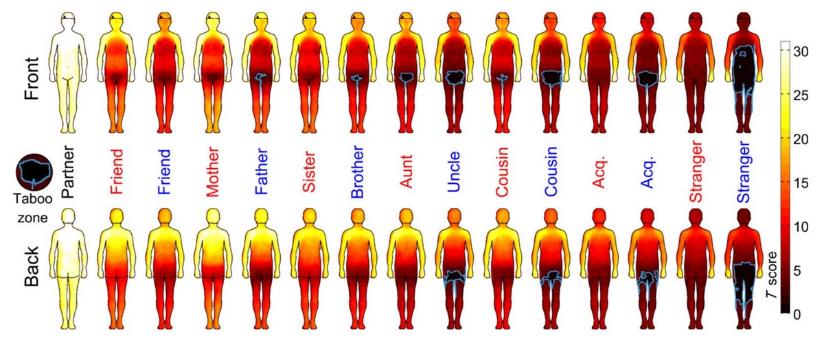 Girl Touch Boy Porn - Body map' shows where men and women are comfortable being touched | The  Independent | The Independent
