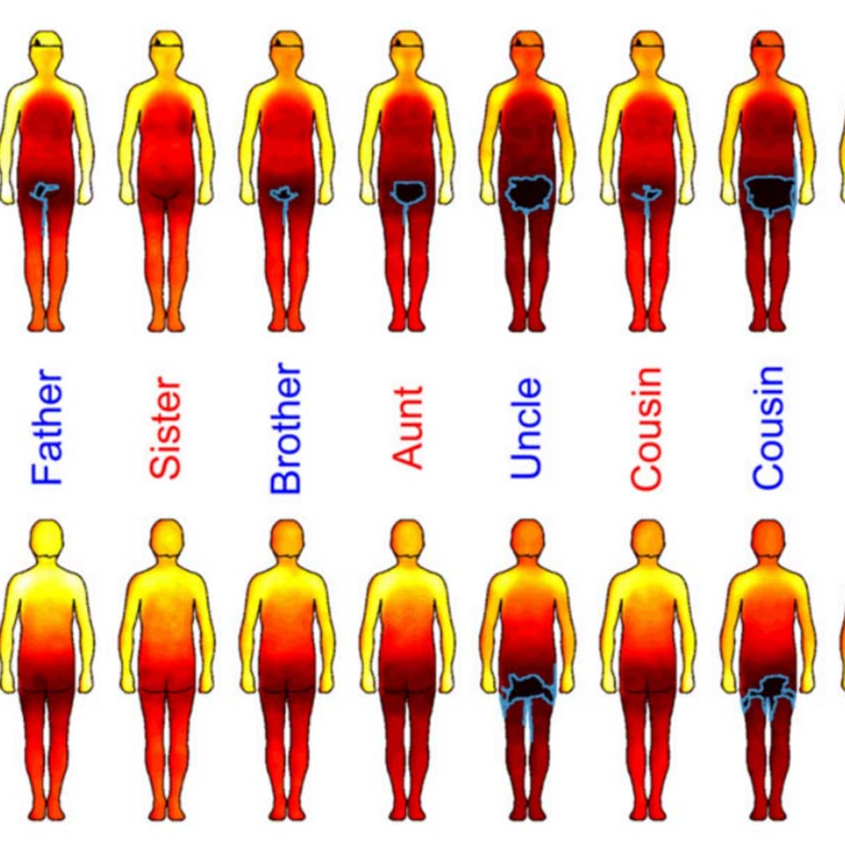 Body map' shows where men and women are comfortable being touched