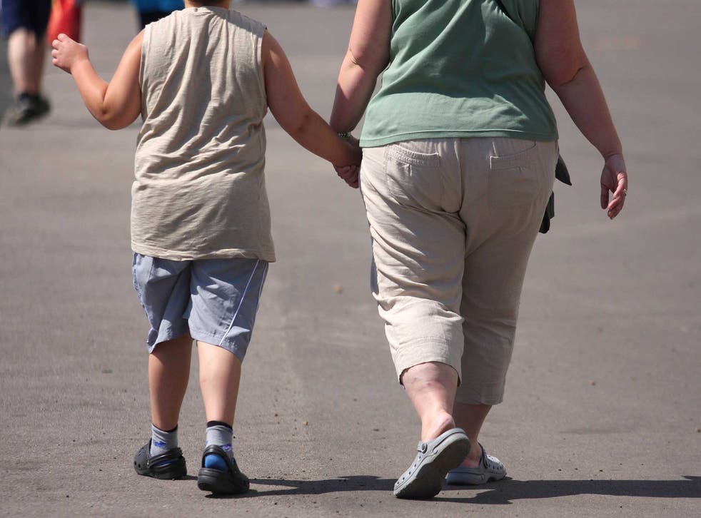 Researchers were careful to ensure the obese children in the study maintained their weight