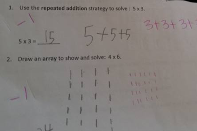The maths questions were posted online, polarising opinion