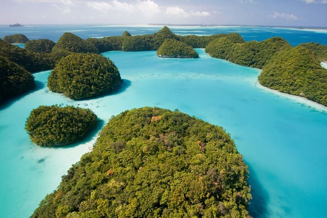 A view of the Palau's Rock Islands as the tiny Pacific island nation of Palau, created one of the world's largest marine sanctuaries, saying it wanted to restore the ocean for future generations.  At 500,000 square kilometers (193,000 square miles), the sanctuary is the same size as Spain and covers an underwater wonderland containing 1,300 species of fish and 700 types of coral
