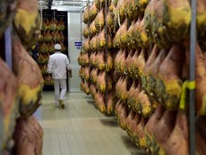 Read more

Parma ham producers in Italy's 'Pig Valley' hit out at WHO warning