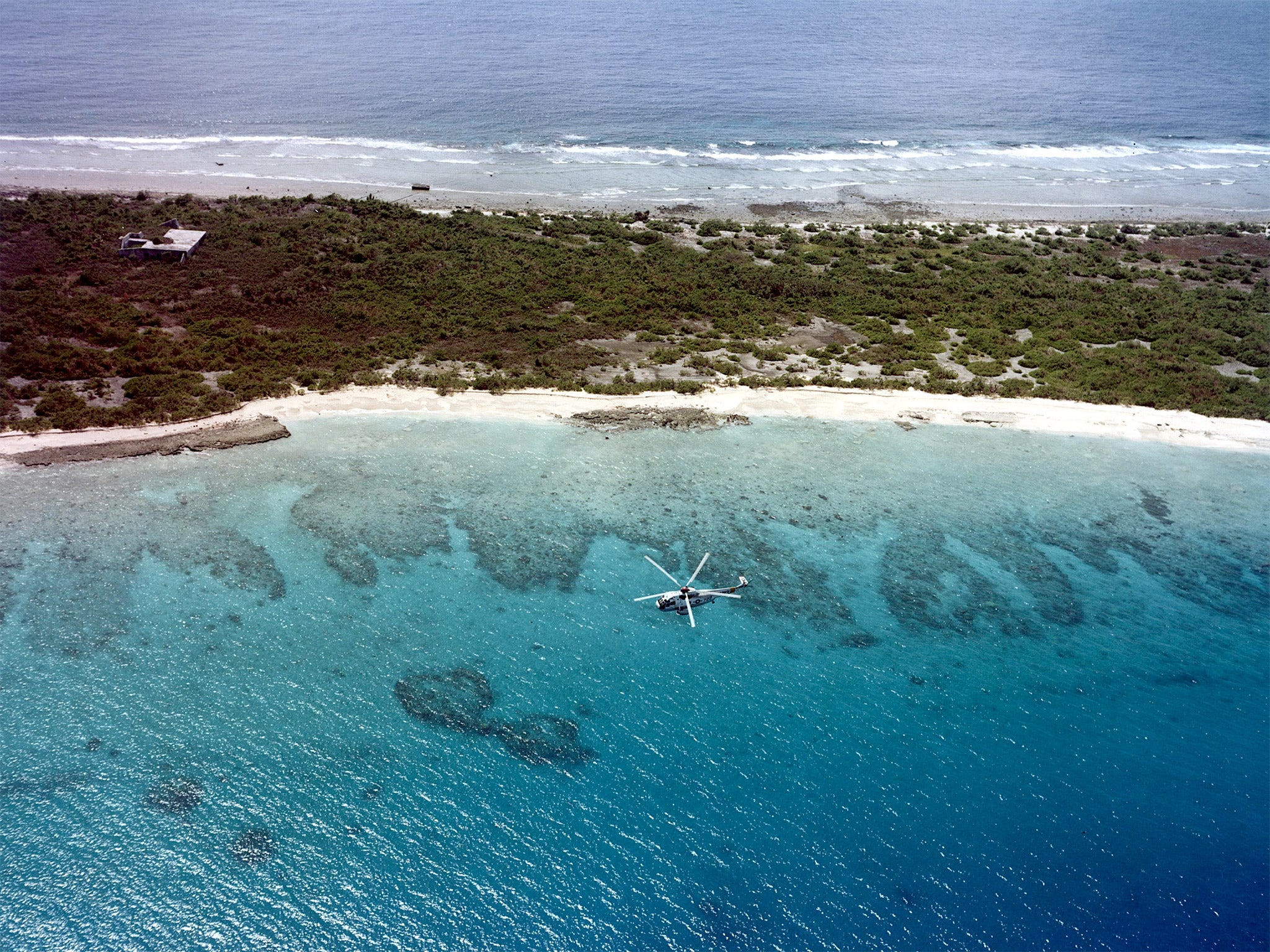 Remarkable Scientists amazed by thriving marine life at Bikini