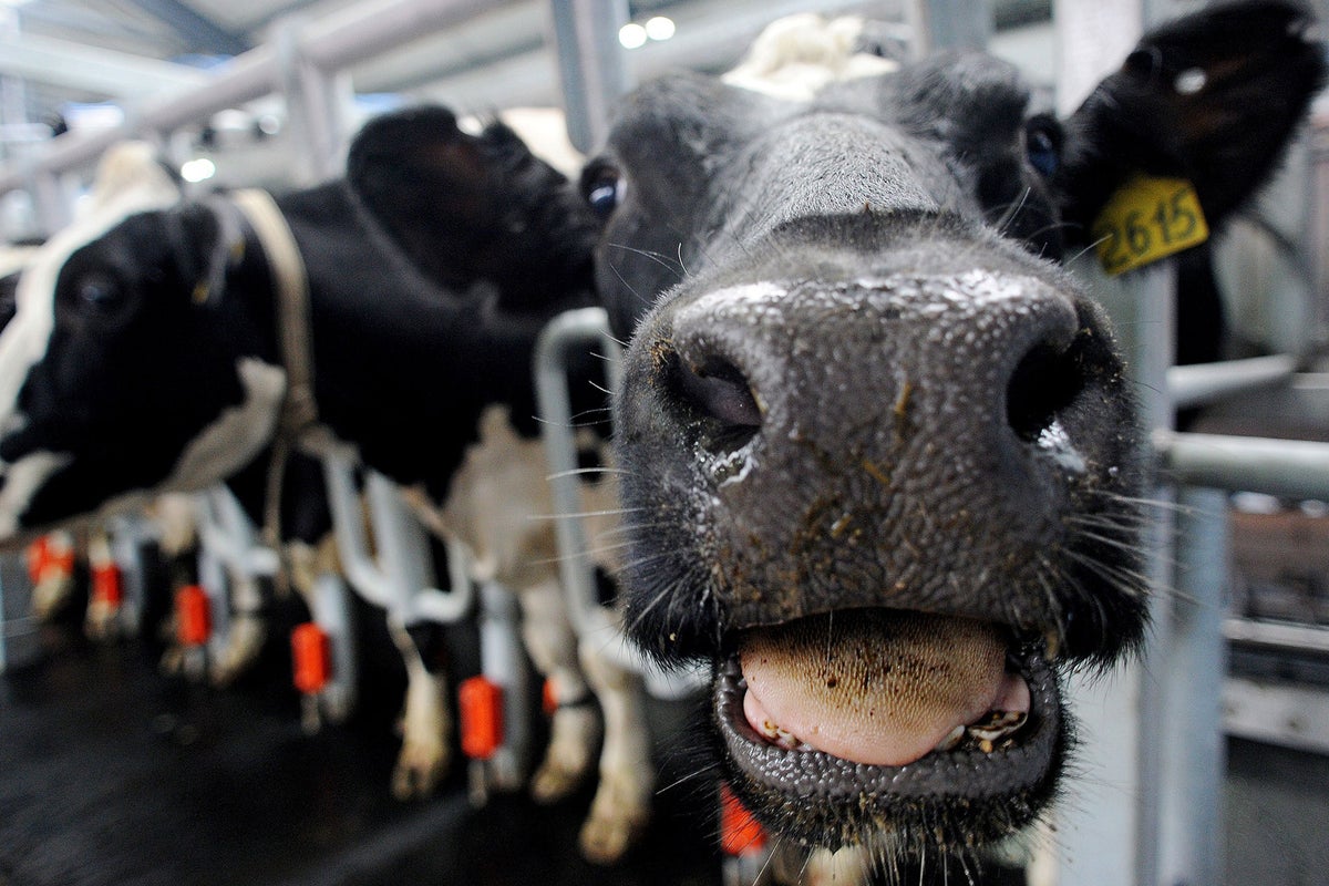We must scrap the common agricultural policy during brexit – for the sake of our finances