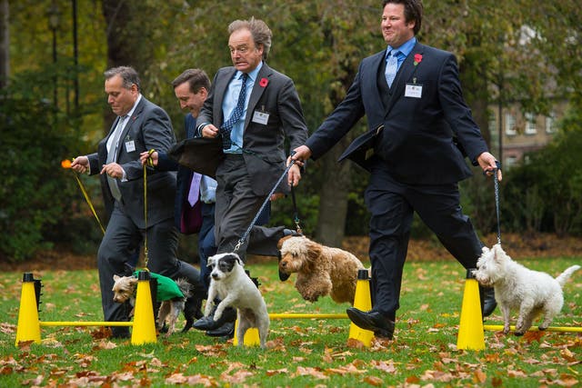 Best in show: David Warburton with his dog Bailey, Chris Matheson with Casper, Hugo Swire with Rocco, and Alec Shelbrooke with Maggie and Boris compete for the title of Westminster Dog of the Year
