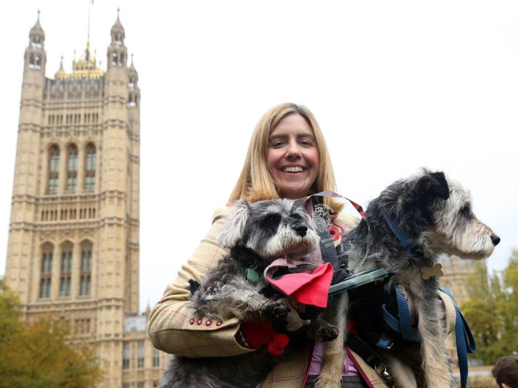 Miniature Schnauzers Godiva (left) and Lady (right) with their owner Andrea Jenkyns MP