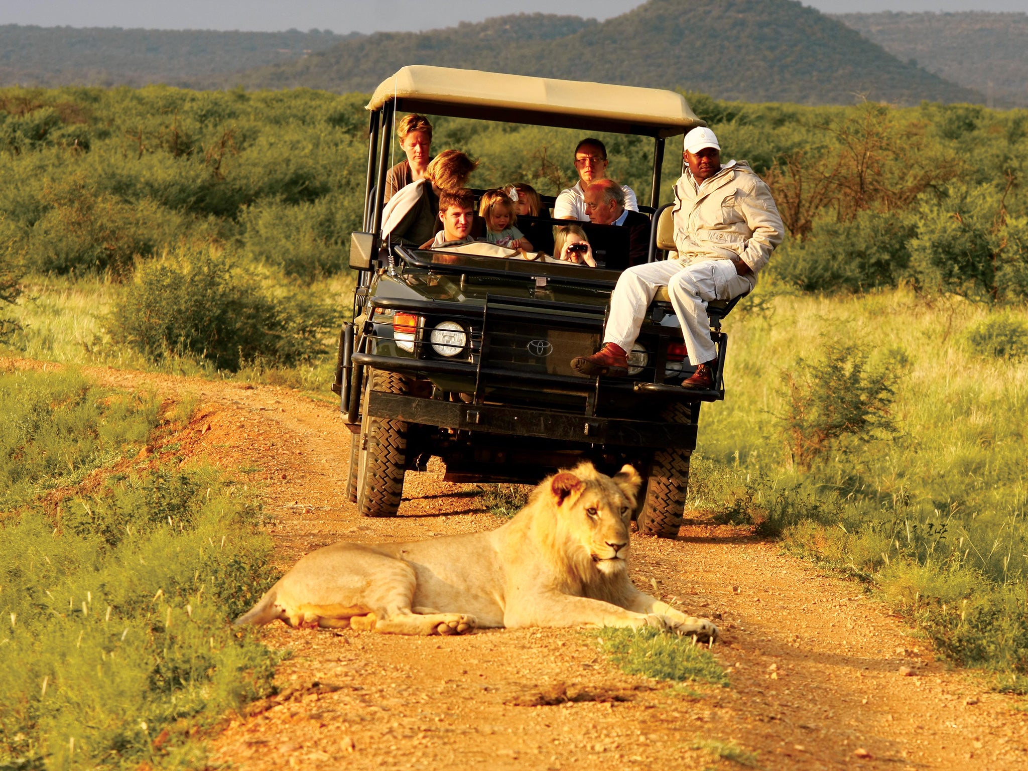 A game drive in Madikwe Game Reserve, South Africa