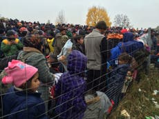 Refugees 'being treated like sheep in pens' in Slovenia