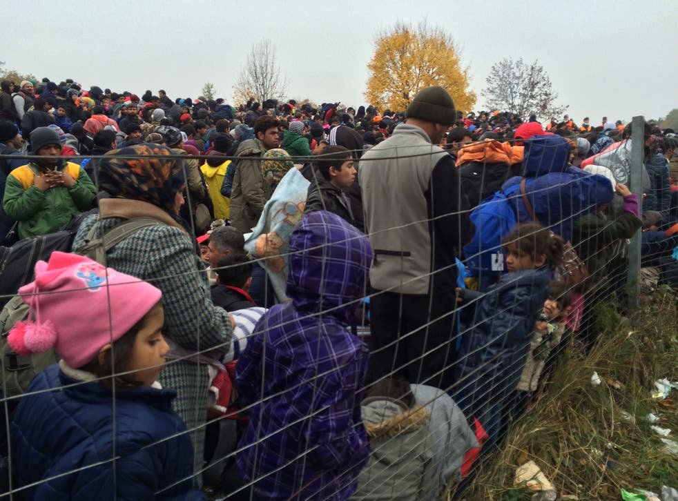 Refugees queuing at the border between Slovenia and Austria in Sentilj