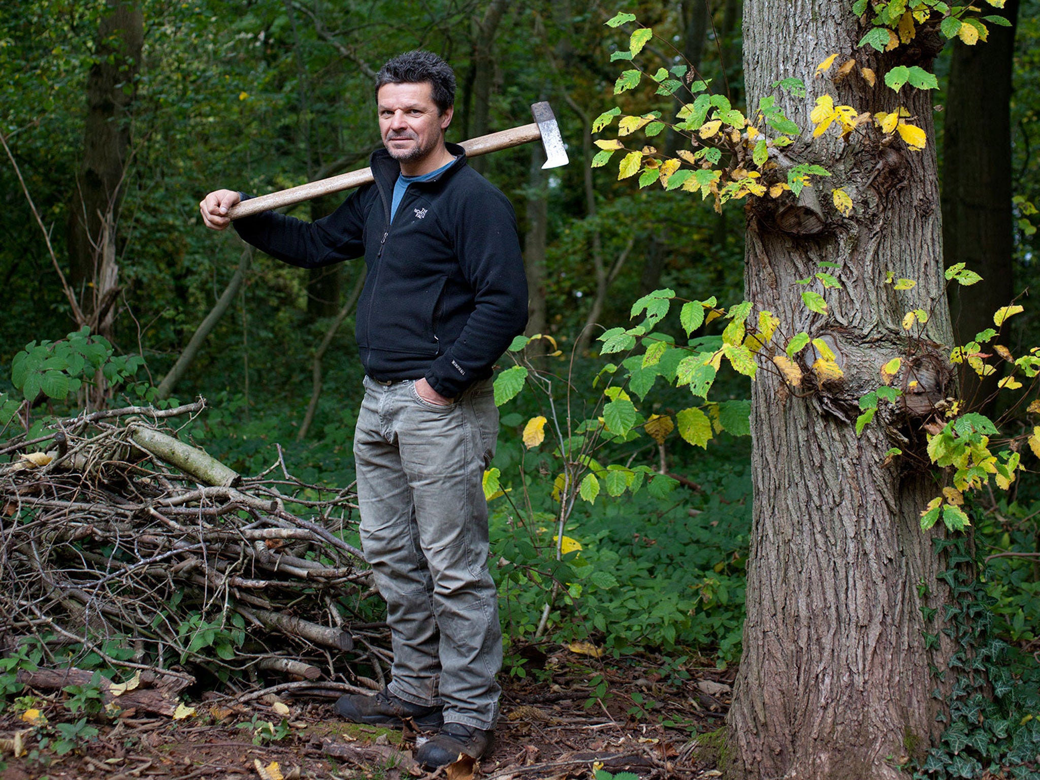Rob started to coppice - the ancient woodland-management practice of cutting trees back to ground level to stimulate regrowth - and the cycle is now a cardinal component of his existence