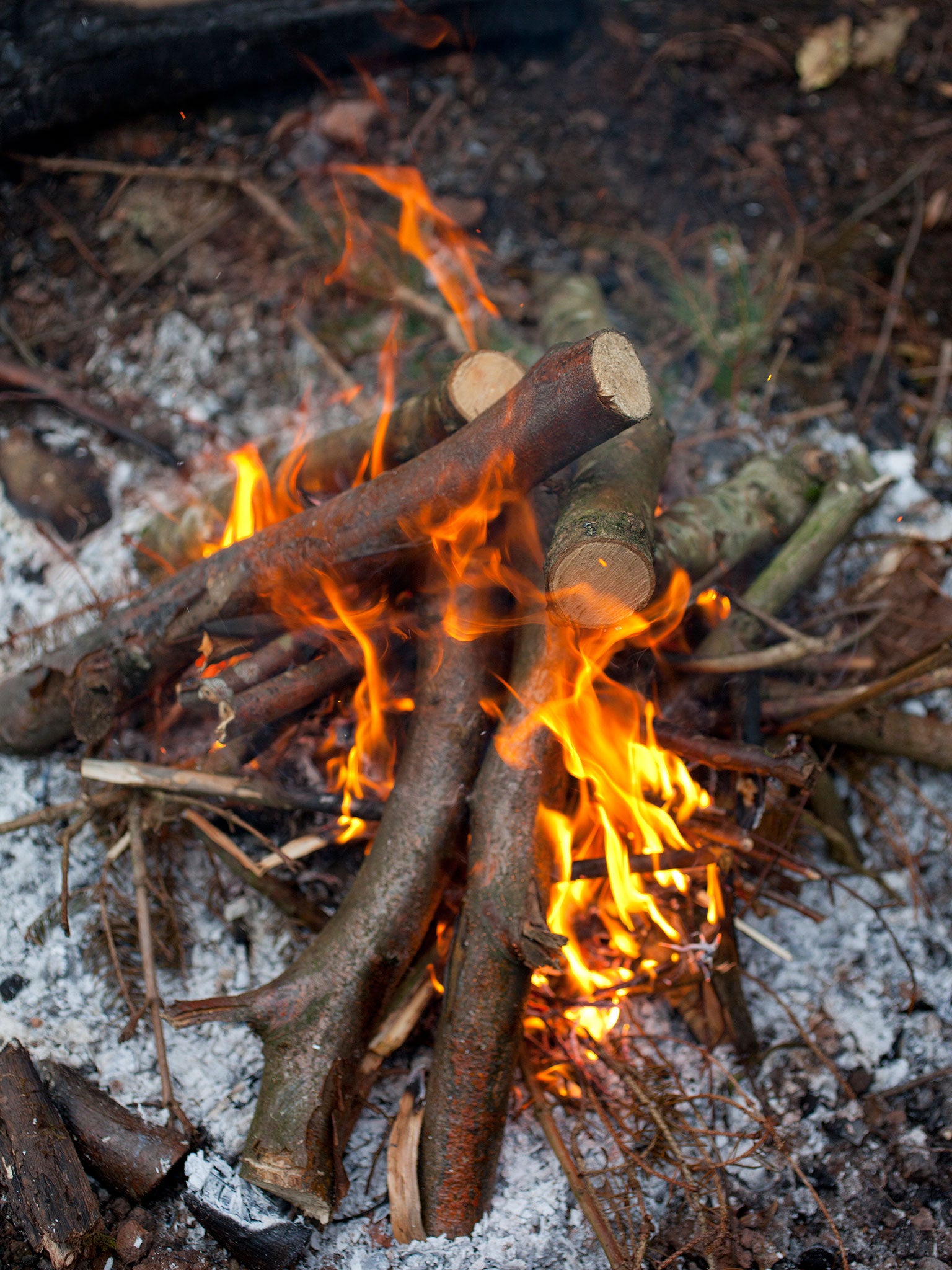 For a good bonfire, you want wood that has been seasoning for nine months or more
