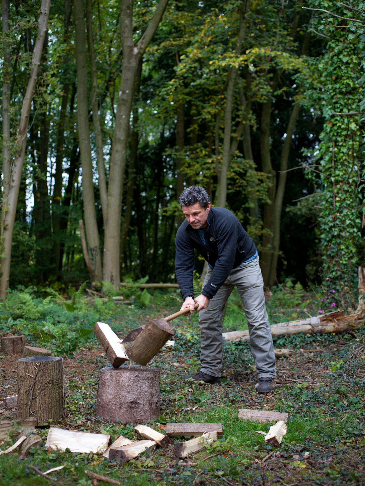 ‘The part of the cycle I enjoy most is splitting logs with an axe. I'm not entirely sure why this is so, but I'm not alone in relishing axe-work’