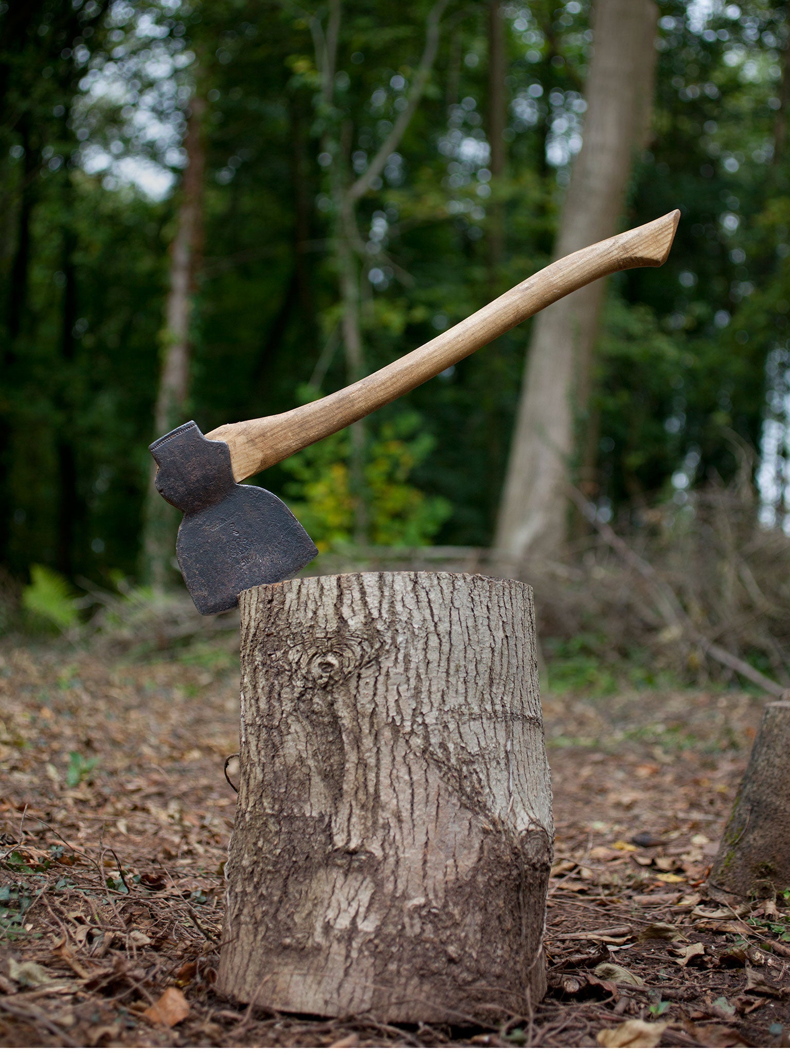 ‘I can fall into a trance chopping wood: it is a form of meditation, albeit with a lethal weapon’