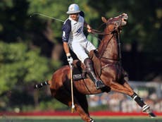 Polo pony cloning set revolutionise the sport in Argentina