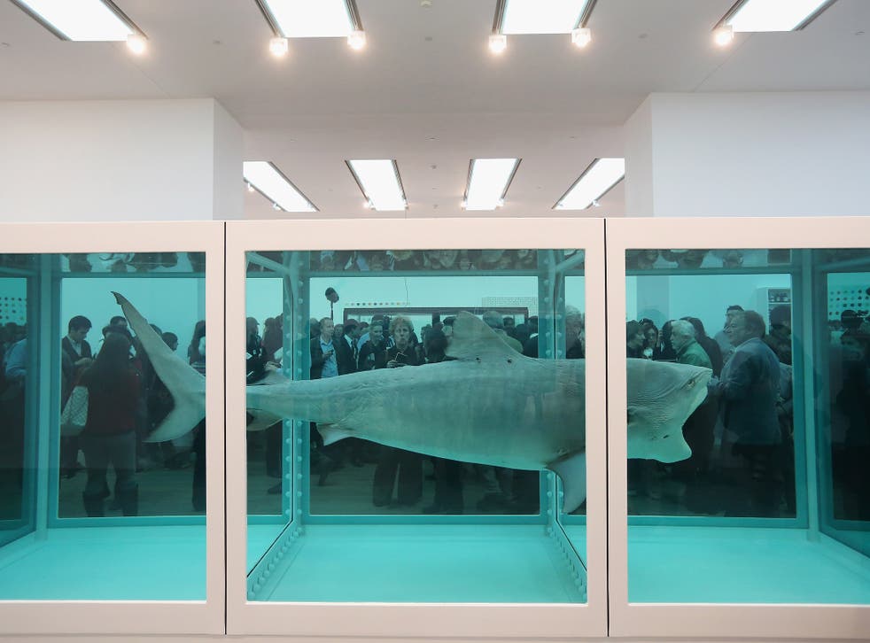 Steven Cohen owns Damien Hirst’s shark in formaldehyde. His personal fortune is an estimated $11.2bn