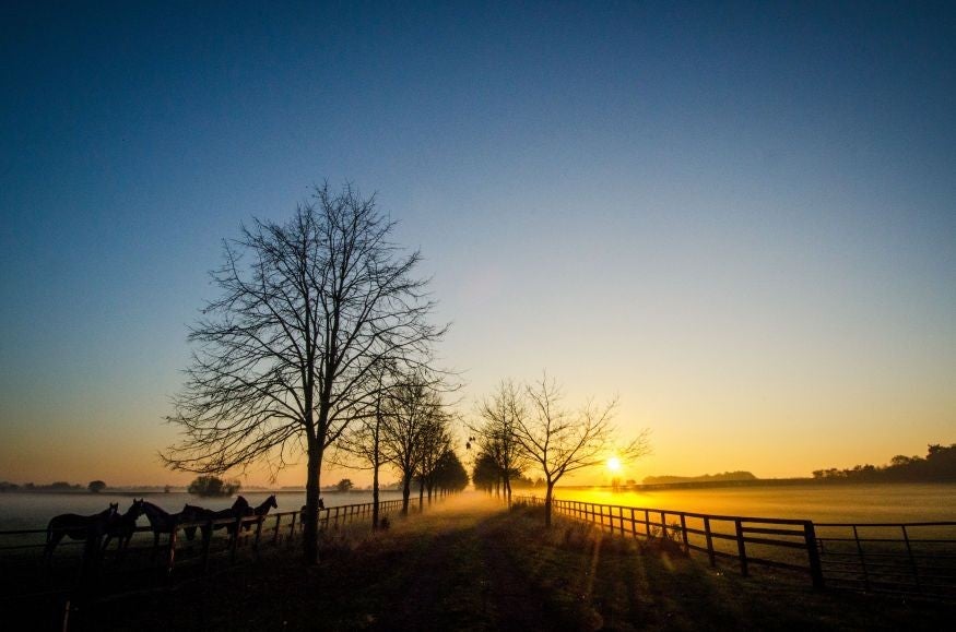 The UK saw some of the hottest November temperatures and thick fog on the same day