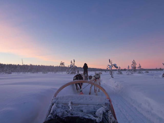 Enjoying a festive husky ride