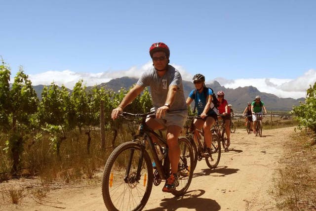 Pedal and press: Wine tours on two wheels in South Africa
