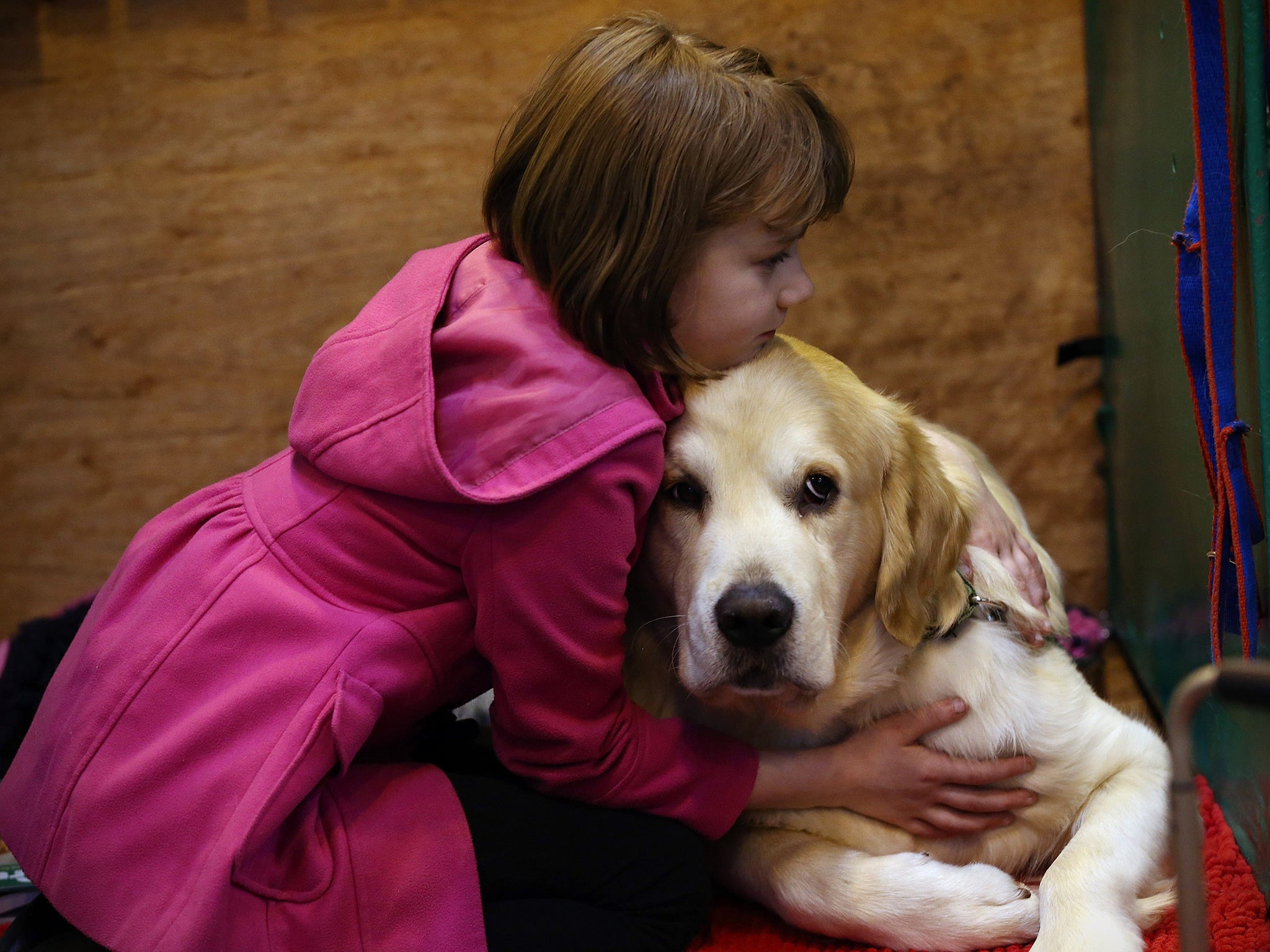 Children 'less likely to suffer' asthma if they grow up around dogs | The Independent