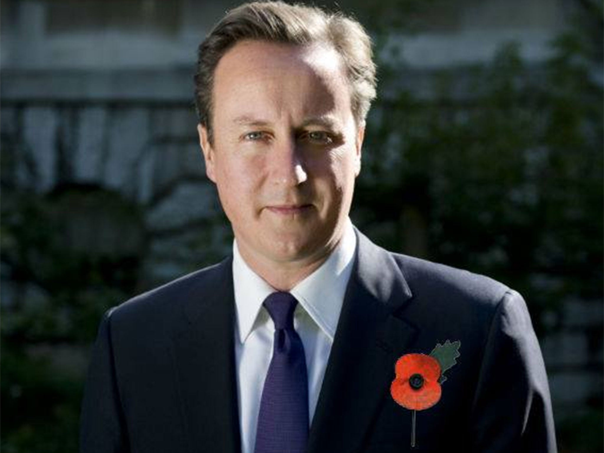 David Cameron with the photoshopped poppy