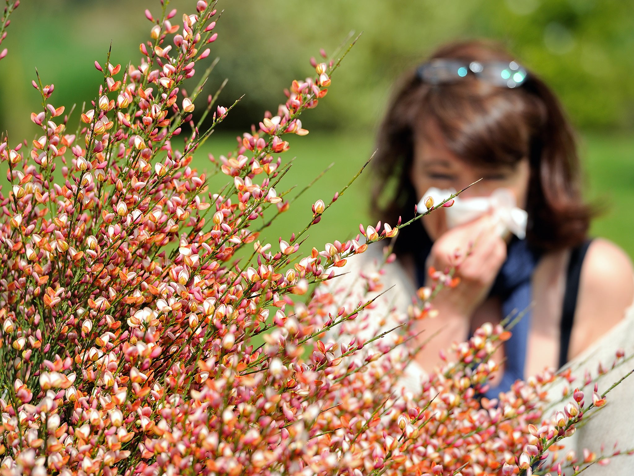 Research could lead to a permanent cure to food and other allergies