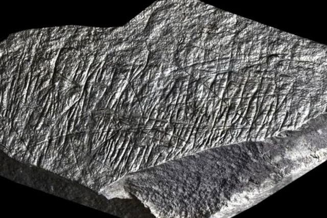 Ice Age engravings, thought to be 14,000 years old, have been found in Jersey