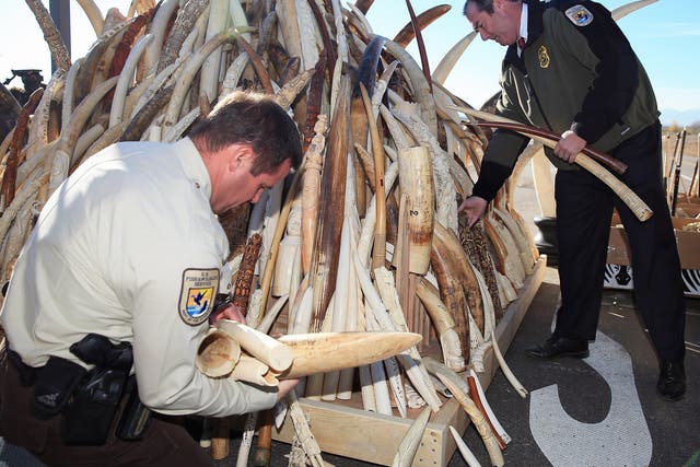 The act proposes to use money seized from wildlife trafficking to help combat poaching in Africa