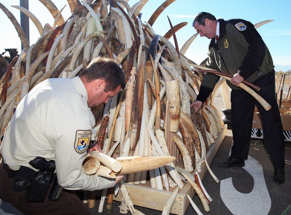 The act proposes to use money seized from wildlife trafficking to help combat poaching in Africa