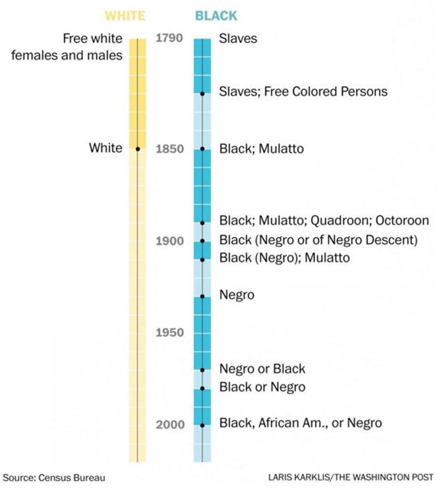 Three charts show every term the Census has used to describe America’s ...
