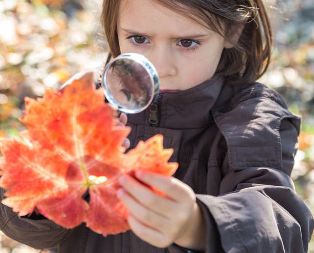 59 per cent of parents surveyed admitted their child knew more about science than they did