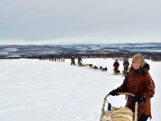 Husky safari in Norway’s frozen north: Mushing through the snow on a six-dog open sleigh