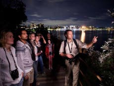 Animal encounters in Sydney after dark on a nature tour