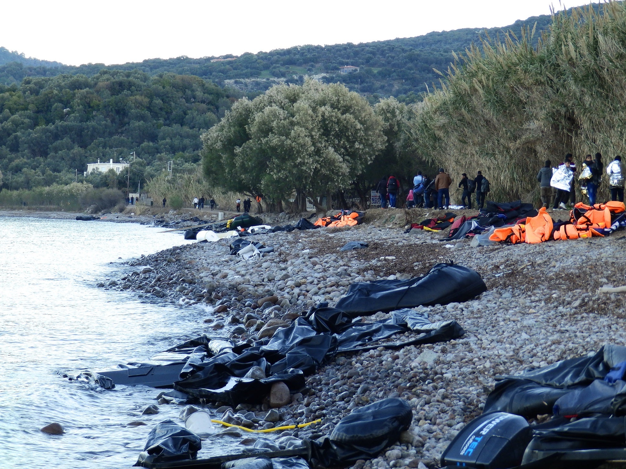 Dozens of refugees starting their journey to a registration centre after landing on a beach near Molyvos, Lesbos, on 4 November.