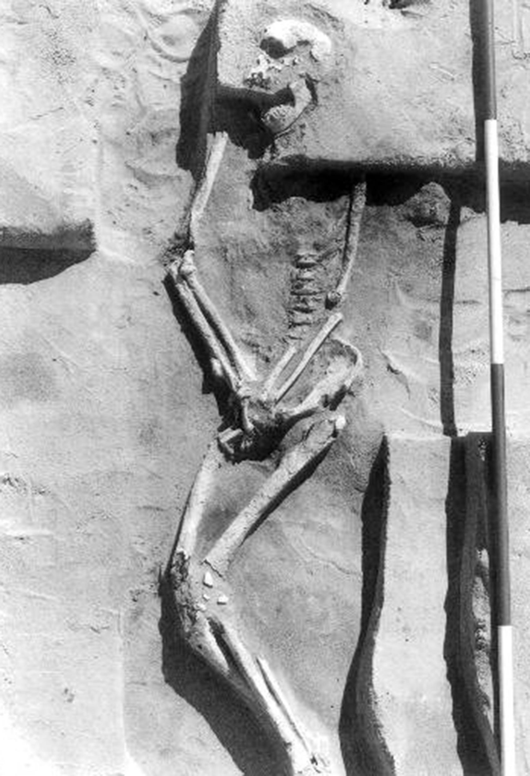 A 1974 photograph of Mr Mungo’s skeletal remains