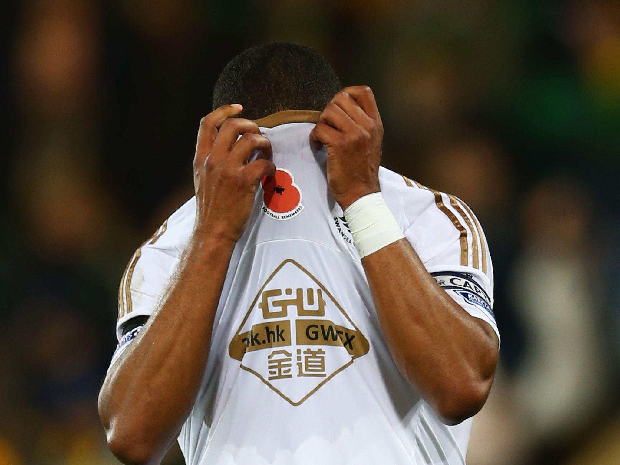 Swansea City's Ashley Williams