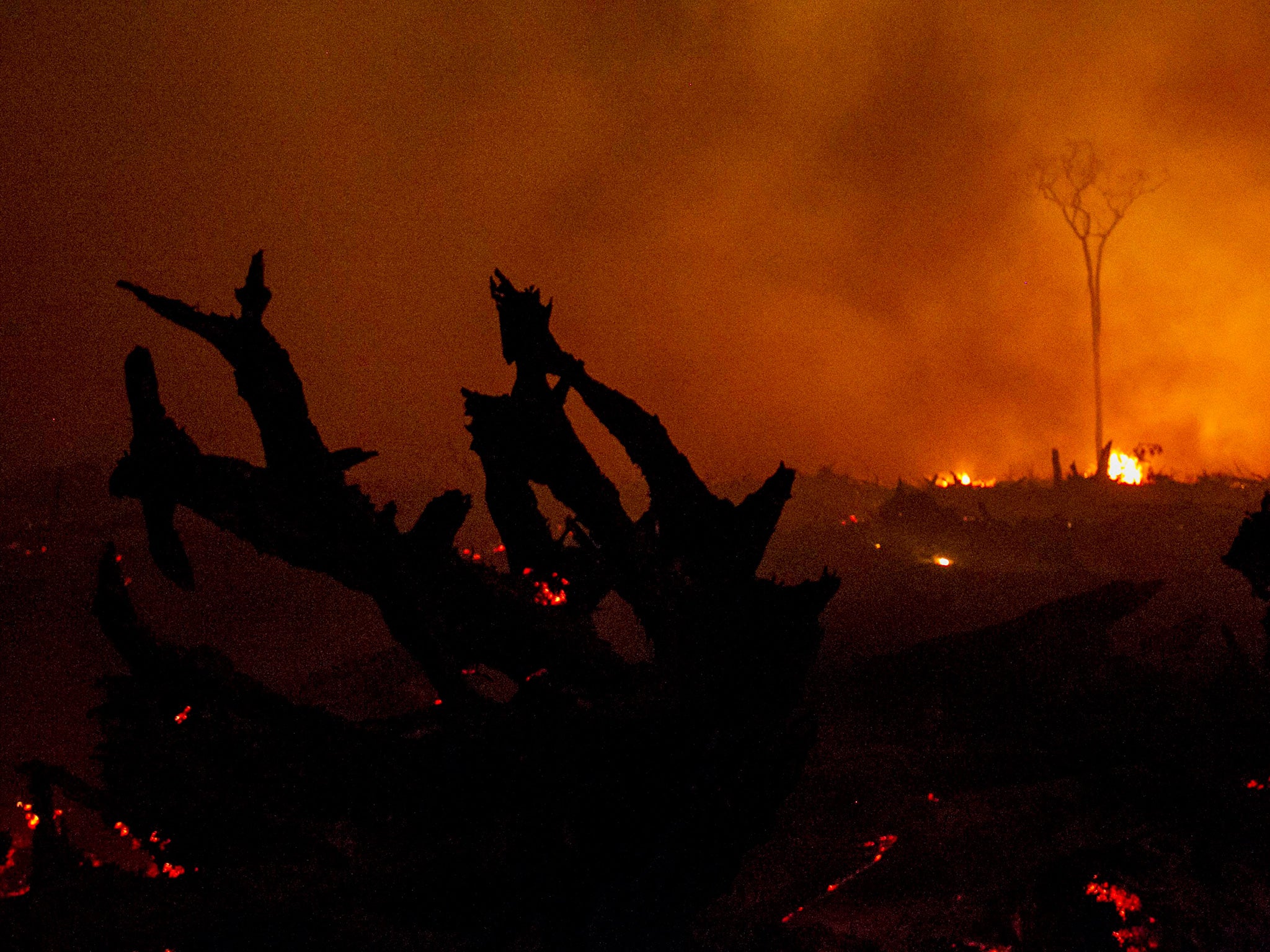 Burning peatland in the outskirts of Palangkaraya, Central Kalimantan, Indonesia, 1 November 2015