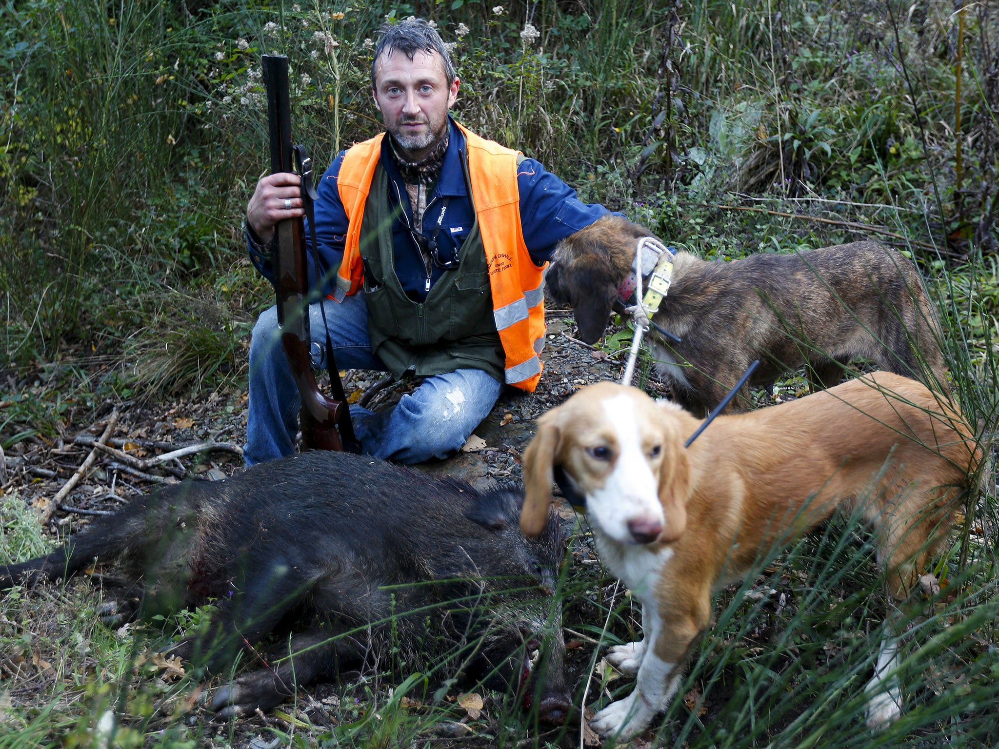 Hunter Tommaso Gaggi with his dogs and a dead wild boar in Castell’-Azzara, Tuscany