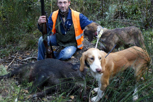 Hunter Tommaso Gaggi with his dogs and a dead wild boar in Castell’-Azzara, Tuscany