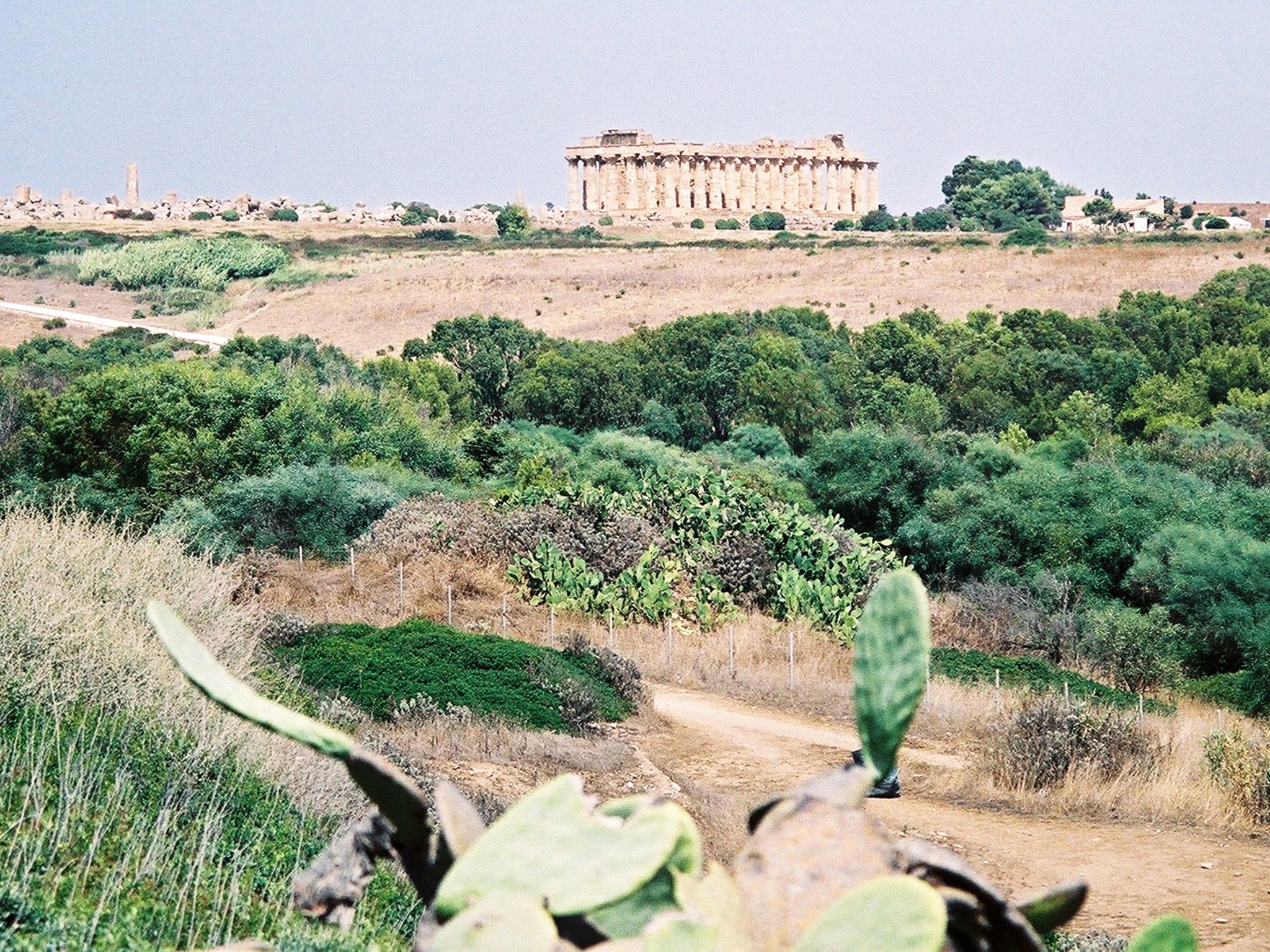 Selinunte's instant demise means the city's archaeology is unique