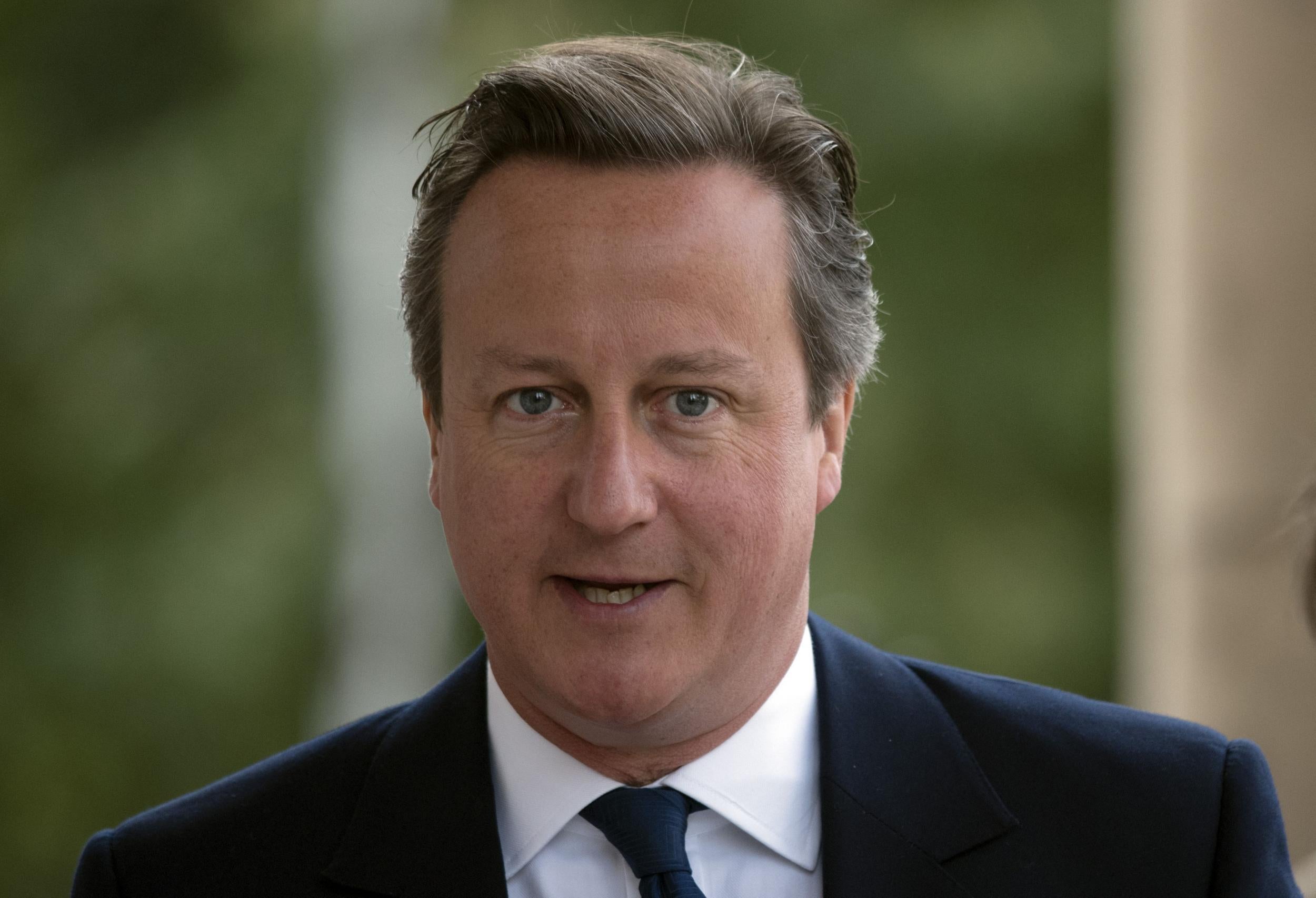 David Cameron has pledged to hold the EU referendum before the end of 2017