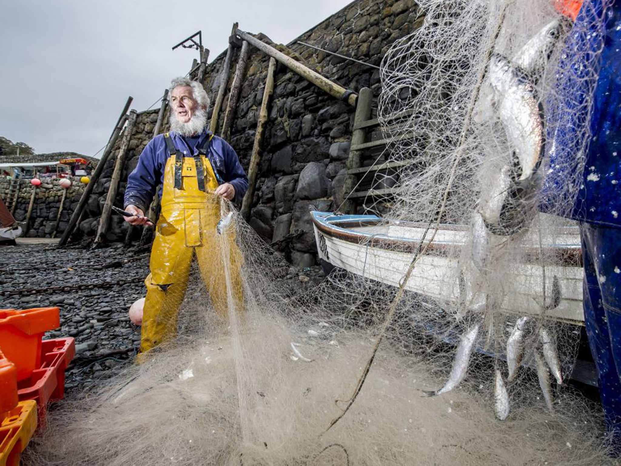 Chris Braund unloads his nets