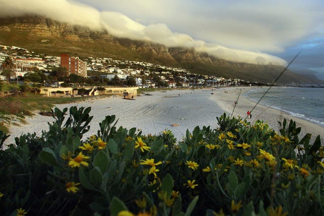 Choosing dates wisely and your flights to Cape Town become almost a third cheaper