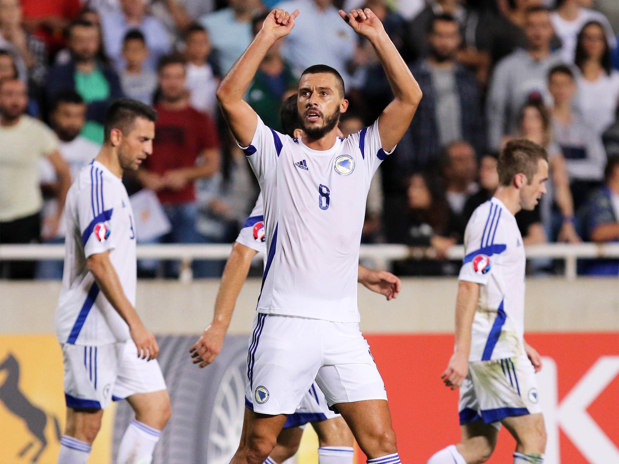 Haris Medunjanin celebrates one his goals in qualifying (Getty)